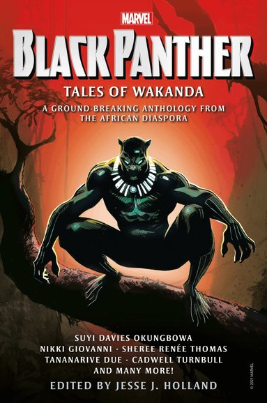 Jesse J. Holland, Sheree Renee Thomas, Nikki Giovanni, Tananarive Due, Cadwell Turnbull, Jesse J. Holland, Jesse J Holland - Black Panther: Tales of Wakanda, Häftad