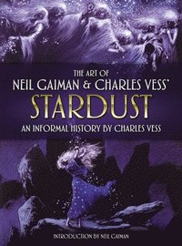 bokomslag The Art of Neil Gaiman and Charles Vess's Stardust