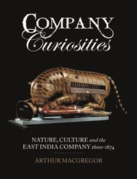 bokomslag Company Curiosities