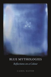bokomslag Blue Mythologies