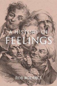 bokomslag A History of Feelings