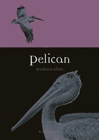 bokomslag Pelican