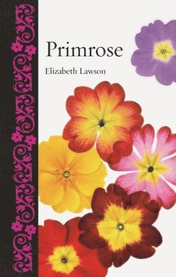 bokomslag Primrose