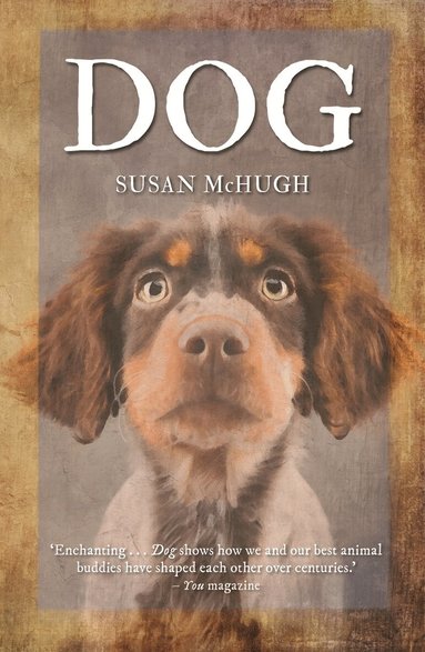 Susan McHugh - Dog, Häftad