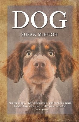 Susan McHugh, Susan Mchugh - Dog, Häftad