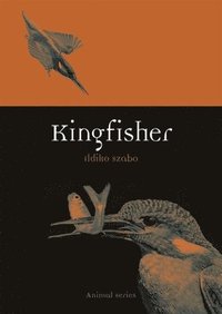 bokomslag Kingfisher