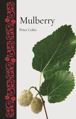 bokomslag Mulberry