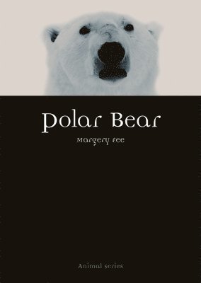Margery Fee - Polar Bear, Häftad