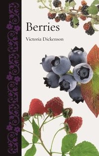 bokomslag Berries