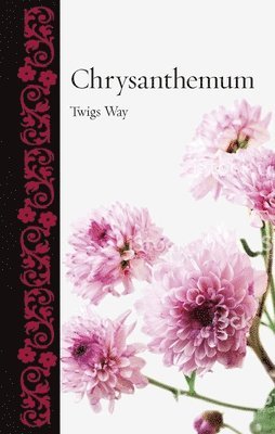 bokomslag Chrysanthemum