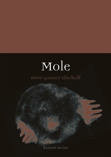 Steve Gronert Ellerhoff - Mole, Häftad