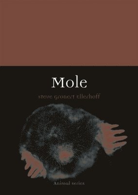 Steve Gronert Ellerhoff - Mole, Häftad
