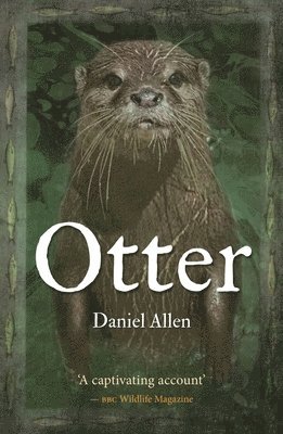 bokomslag Otter