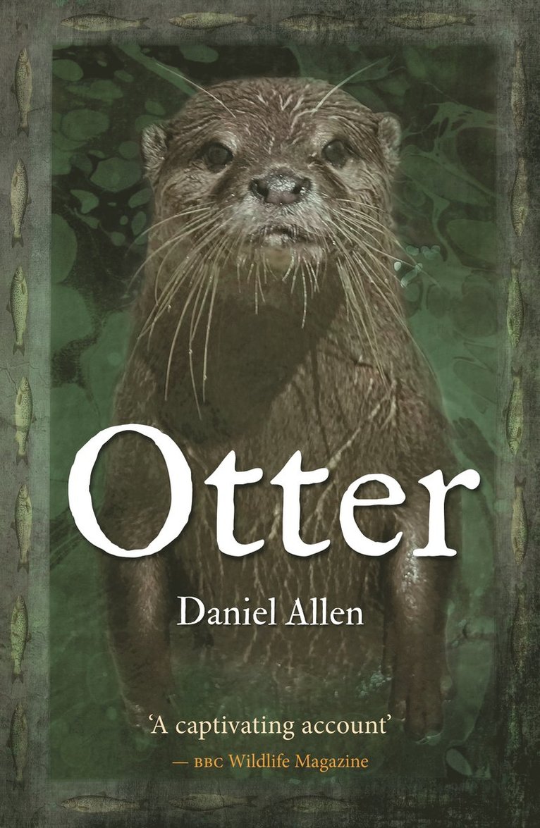 Otter 1