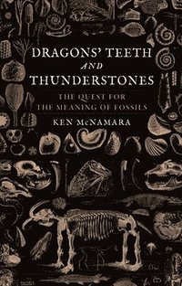 bokomslag Dragons' Teeth and Thunderstones