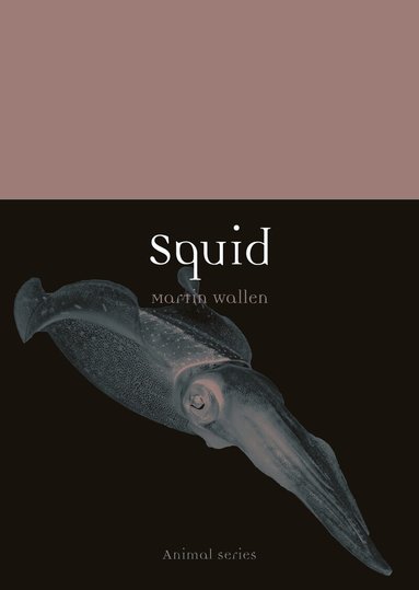 Martin Wallen - Squid, Häftad