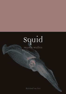 Squid 1