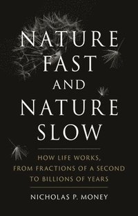 bokomslag Nature Fast and Nature Slow