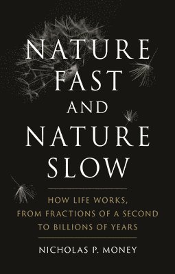 Nature Fast and Nature Slow 1