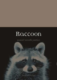 bokomslag Raccoon