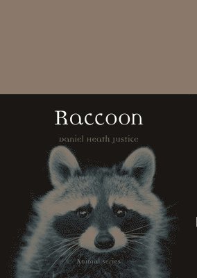 Raccoon 1