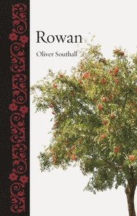 bokomslag Rowan