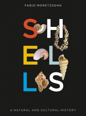 Shells 1