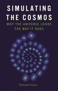 bokomslag Simulating the Cosmos