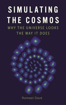 Simulating the Cosmos 1