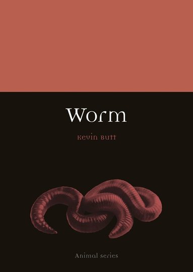 Kevin Butt - Worm, Häftad
