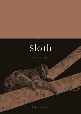 Sloth 1