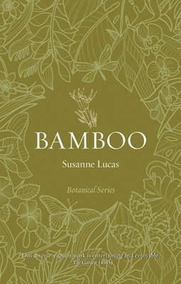 Bamboo 1