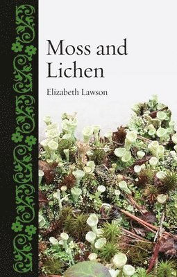 Moss and Lichen 1