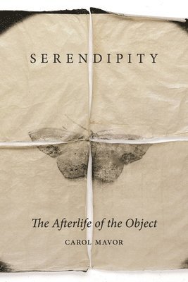 Carol Mavor - Serendipity, Inbunden