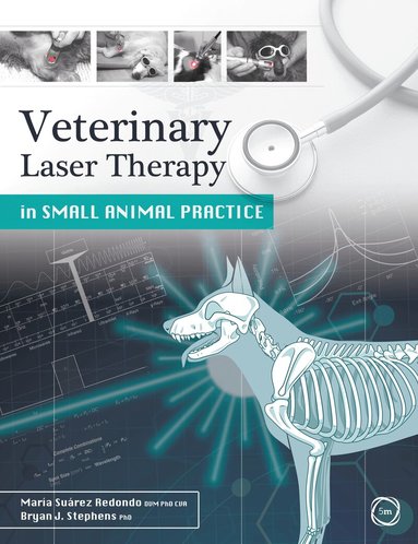 Maria Suarez Redondo, Bryan Stephens - Veterinary Laser Therapy in Small Animal Practice, Häftad
