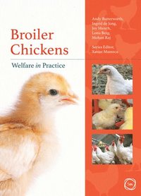 bokomslag Broiler Chickens Welfare in Practice