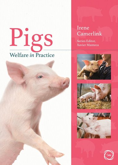 Irene Camerlink, Irene Camerlink - Pigs Welfare in Practice, Häftad