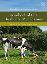 bokomslag Handbook of Calf Health and Management: A Guide to Best Practice Care for Calves