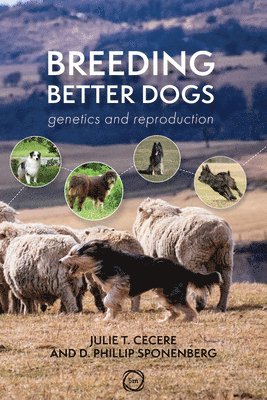 Julie T. Cecere, D. Phillip Sponenberg, D Phillip Sponenberg, Julie T Cecere - Breeding Better Dogs, Häftad