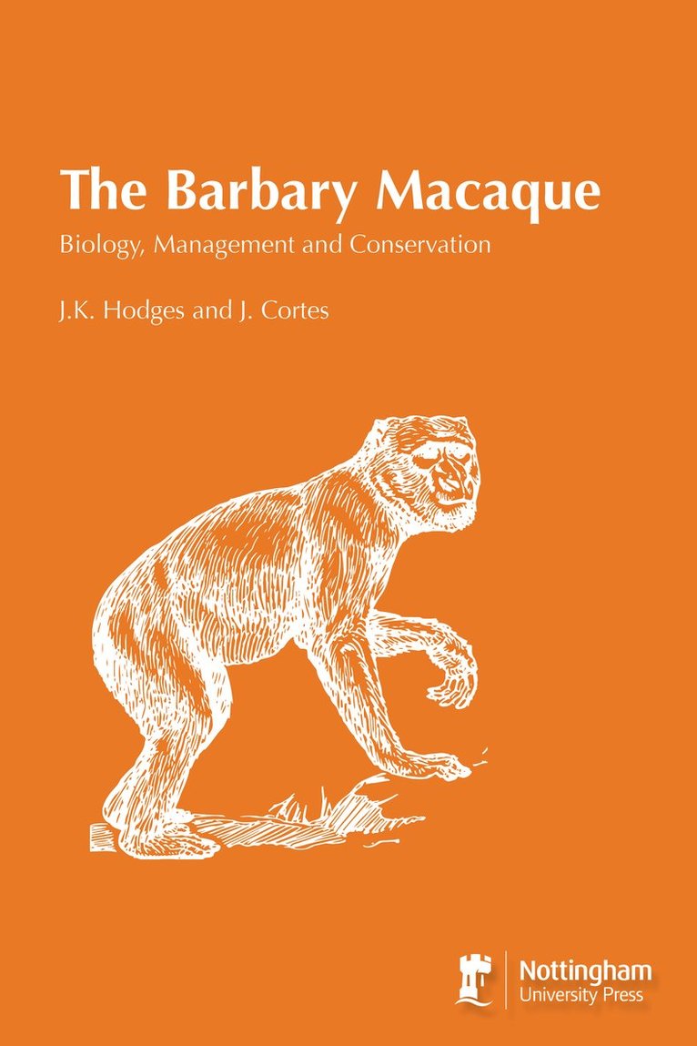 Barbary Macaque
