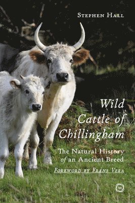 bokomslag Wild Cattle of Chillingham