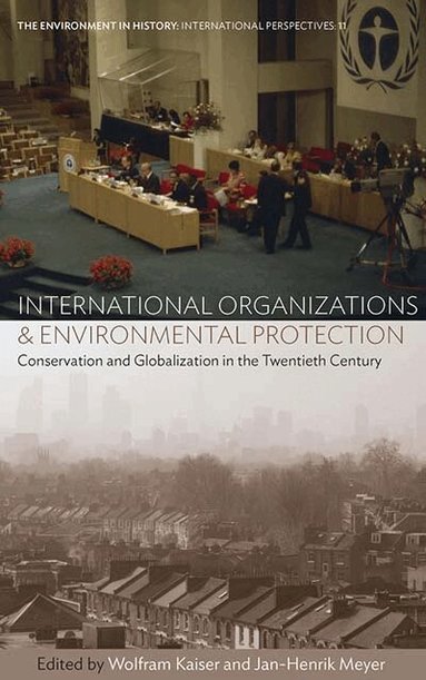 Wolfram Kaiser, Jan-Henrik Meyer - International Organizations and Environmental Protection, Häftad