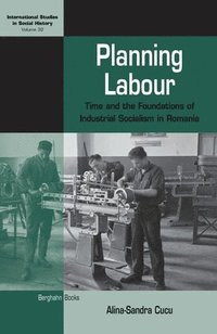 bokomslag Planning Labour
