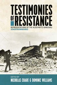 bokomslag Testimonies of Resistance