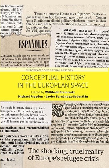 Willibald Steinmetz, Michael Freeden, Javier Fernández-Sebastián - Conceptual History in the European Space, Häftad