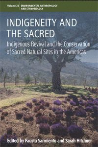 Fausto Sarmiento, Sarah Hitchner, Fausto Sarmiento Sarmiento - Indigeneity and the Sacred, Häftad