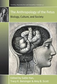 bokomslag The Anthropology of the Fetus