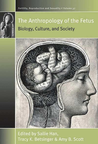 Anthropology of the Fetus