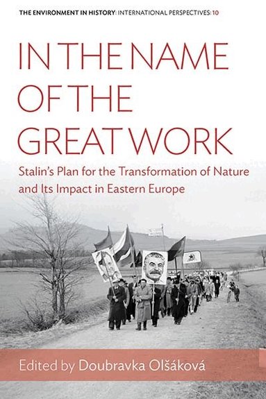 Doubravka Olšáková - In the Name of the Great Work, Häftad