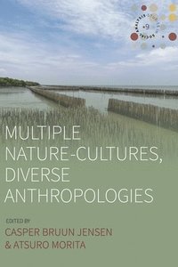 bokomslag Multiple Nature-Cultures, Diverse Anthropologies